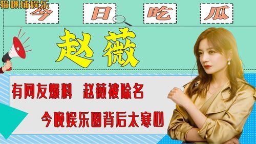 娱乐圈背后爆料,揭秘明星真实生活与幕后真相