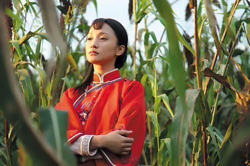 红高粱电视剧在线观看,激情燃烧的岁月，热血沸腾的传奇